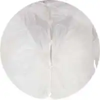 shuting-qiu-product-color