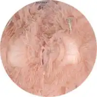 shuting-qiu-product-color