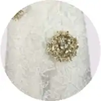 shuting-qiu-product-color