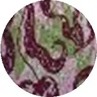 shuting qiu product color