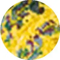 shuting-qiu-product-color